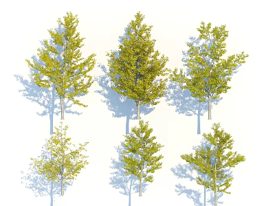 Various Arbor Trees With Different Green Foliage Forms And Shadows On White Background 3d model