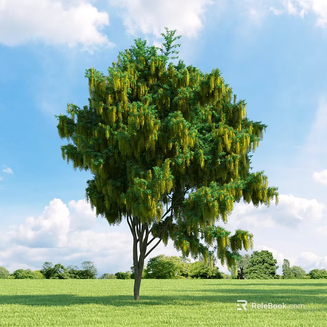 Tall Arbor With Lush Green Foliage And Yellow Hanging Flowers Under Blue Sky 3d model 