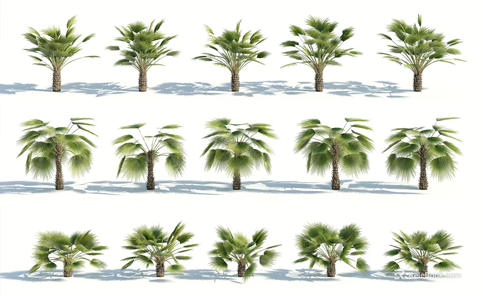 Tall Green Trees With Diverse Foliage And Sunlit Shadows Arranged In Rows 3d model 