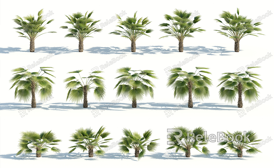 Modern Palm Tree model