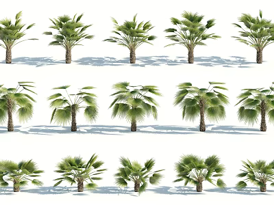 Tall Green Trees With Diverse Foliage And Sunlit Shadows Arranged In Rows 3d model
