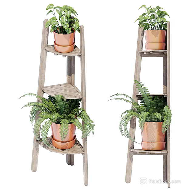 Bonsai Potted Plants On Wooden Ladder Shelf With Terra Cotta Pots And Ferns 3d model 