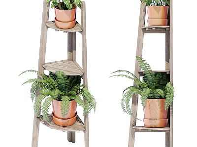Bonsai Potted Plants On Wooden Ladder Shelf With Terra Cotta Pots And Ferns 3d model