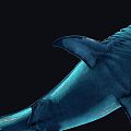 Modern Shark Eaters Human Shark 3d model