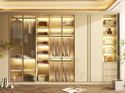Modern Wardrobe Interior Design With Glass Doors Hanging Clothes Folded Shelves And Lighting 3d model
