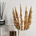 Stylish Bathroom Accessories With Black Shelf Soap Dispensers Fragrance Bottles Pampas Grass And Wicker Basket
