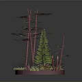 Miniature Forest Scene With Red Trunk Trees Green Pine And Red Green Ground Cover