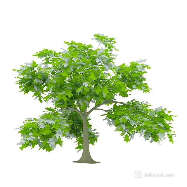 Lush Green Arbor With Dense Foliage And Vibrant Leaf Canopy 3d model 