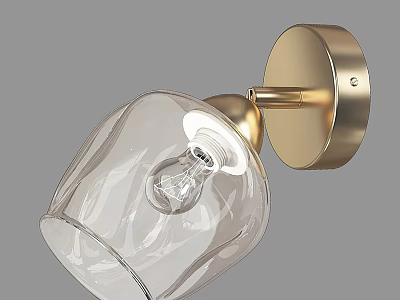 Modern Brass Wall Lamp With Clear Glass Shade And Visible Bulb Design 3d model