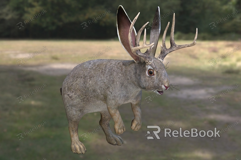 antler rabbit animal creature model