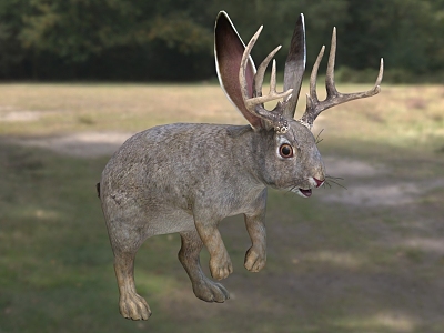 antler rabbit animal creature model