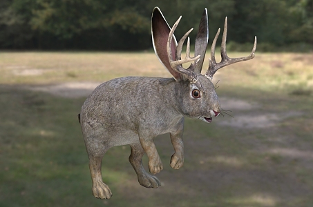 antler rabbit animal creature 3d model