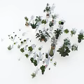 Diverse Bonsai and Potted Plants Collection With Various Sizes Shapes and Pot Styles