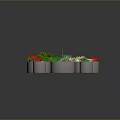 Variety of Potted Plants with Colorful Leaves in Gray Pots