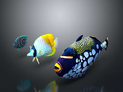 Vibrant Tropical Fish Displaying Colorful Patterns Yellow White Blue and Spotted Markings 3d model