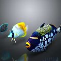Vibrant Tropical Fish Displaying Colorful Patterns Yellow White Blue and Spotted Markings