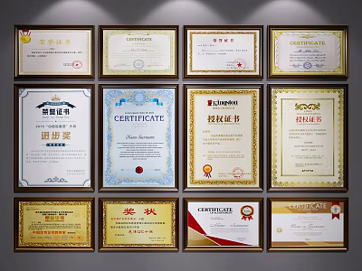 Wall Display of Framed Certificates and Various Honor Awards 3d model