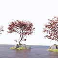 Red Leaf Trees with Stones and Green Grass on Wooden Floor Against White Background