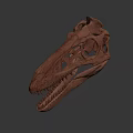 Detailed Dinosaur Skull Fossil With Anatomical Structure And Sharp Teeth 3d model
