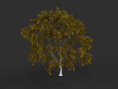 Plant Painting Featuring Tree With Yellow Leaves And White Trunk On Dark Gray Background 3d model