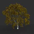 Plant Painting Featuring Tree With Yellow Leaves And White Trunk On Dark Gray Background