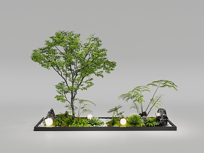 Courtyard sketch indoor landscape landscaping plant combination stone landscape tree indoor landscaping model