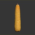 corn corn cartoon corn cartoon food food grain crops 3d model