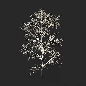 autumn and winter plants shrub tree snow cover 3d model