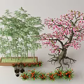Ornamental Flowering Tree with Pink Blossoms Bamboo and Decorative Plants