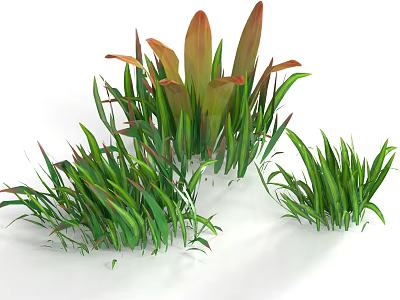 Natural Lush Green Grass And Plants With Red Edge Leaves 3d model