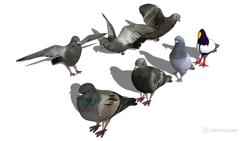 Group Of Pigeons In Different Postures Flying And Standing With Various Colors 3d model 