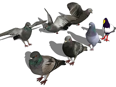 Group Of Pigeons In Different Postures Flying And Standing With Various Colors 3d model
