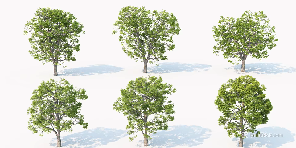Realistic Multiple Arbor 3D Models With Green Foliage And Natural Trunks 3d model