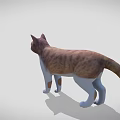 Detailed 3D Model of Brown and White Cat in Standing Pose with Gray Background