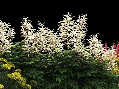 Gorgeous Shrubs With White Flowers Green Leaves And Colorful Blooms In Garden 3d model