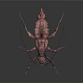Stick Insect 3D Model with Leaf Like Texture Long Antennae Multiple Legs and Reflective Surface 3d model