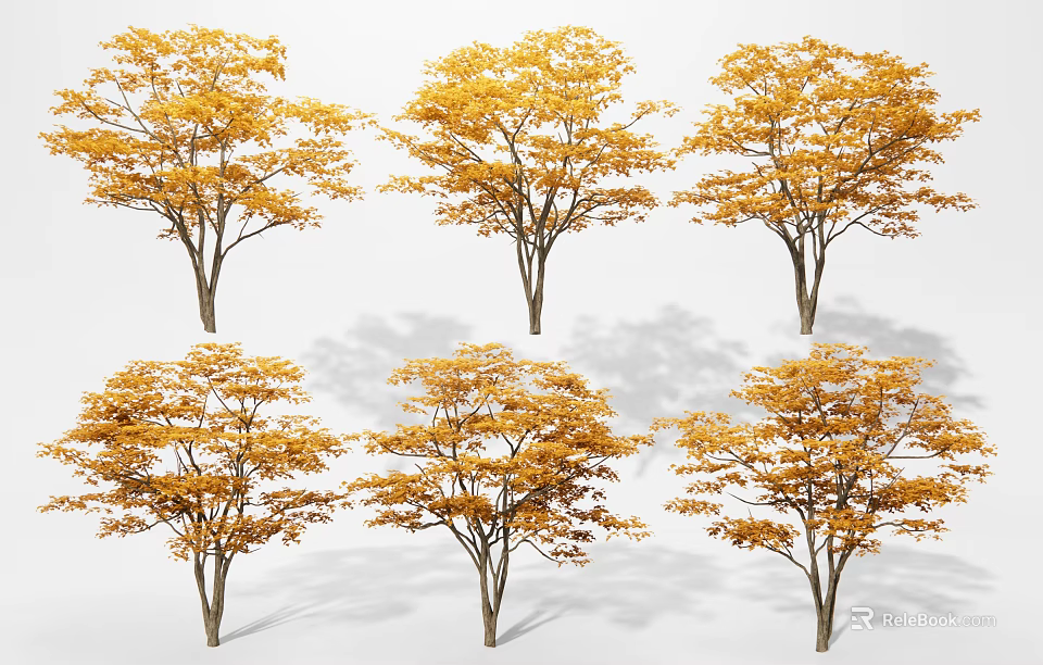 Golden Yellow Leaf Trees in Autumn Season with Vibrant Foliage and Natural Scenery 3d model 