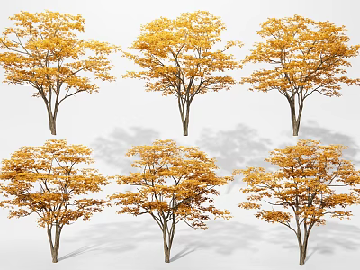 Golden Yellow Leaf Trees in Autumn Season with Vibrant Foliage and Natural Scenery 3d model