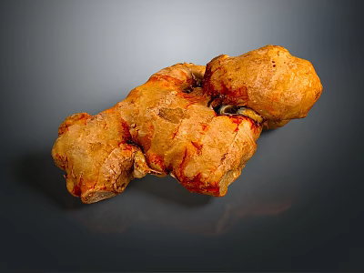 Ginger ginger seasoning ingredients vegetables plant life supplies 3d model