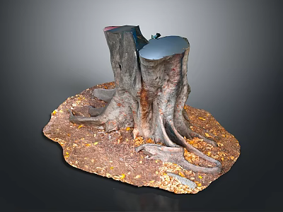 Natural Wooden Tree Stumps Decorative Piece With Roots Stones And Fallen Leaves 3d model