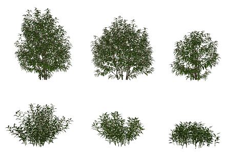 Modern Shrub Green Plant Shrub 3d model