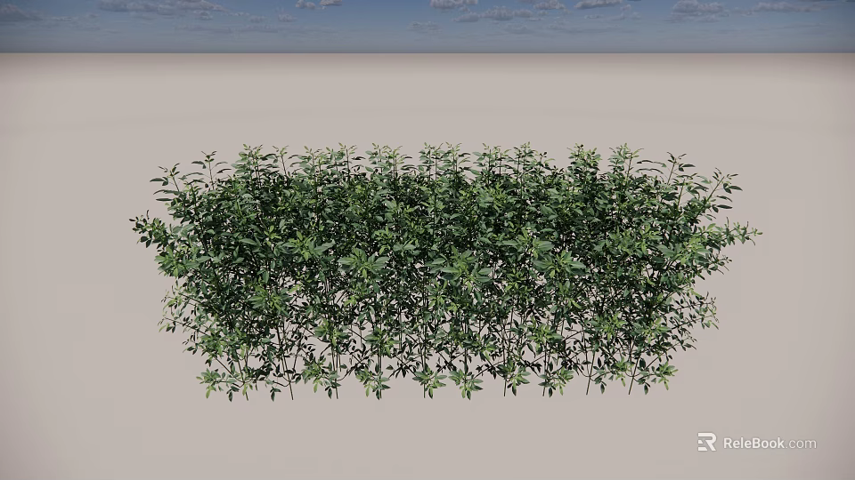 Lush Green Shrubs Perfect For Garden Landscaping And Outdoor Decor 3d model 