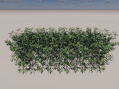 Lush Green Shrubs Perfect For Garden Landscaping And Outdoor Decor 3d model