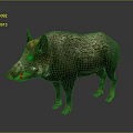 Wild Boar With Rough Brown Gray Fur And Red Snout In Standing Posture