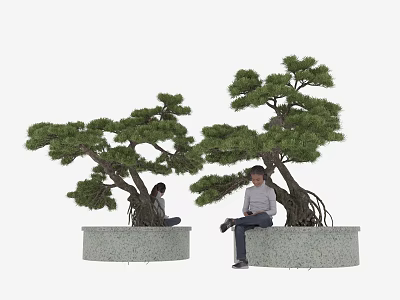Arbor Trees with Lush Foliage Exposed Roots in Stone Planters and People Resting Nearby 3d model