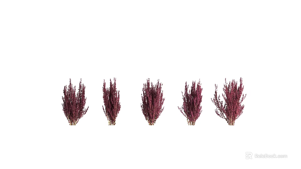 Purple Red Decorative Dried Flowers And Plants Arranged In Five Bunches 3d model 