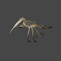 Fresh Raw Blue Swimming Crab With Long Claws And Spotted Legs