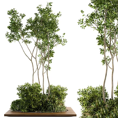 Lush Garden Plant Feature Showcasing Multiple Slender Trunk Trees Lush Foliage And Underbrush Shrubs 3d model