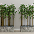 Modern bamboo green plant potted plant 3d model