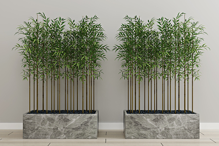 Modern bamboo green plant potted plant 3d model